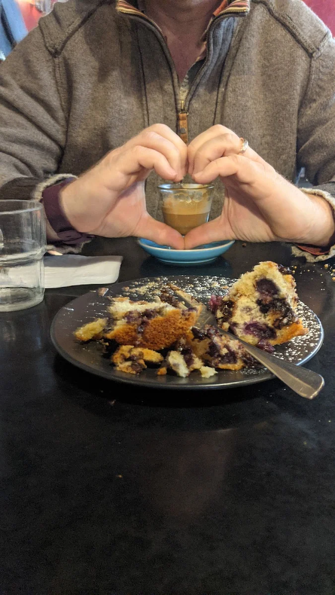 Blueberry Muffin, redd catt