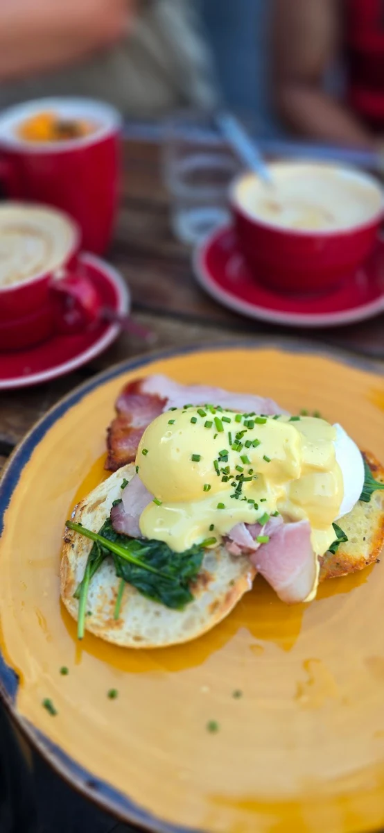 Egg Bacon Hollandaise, redd catt