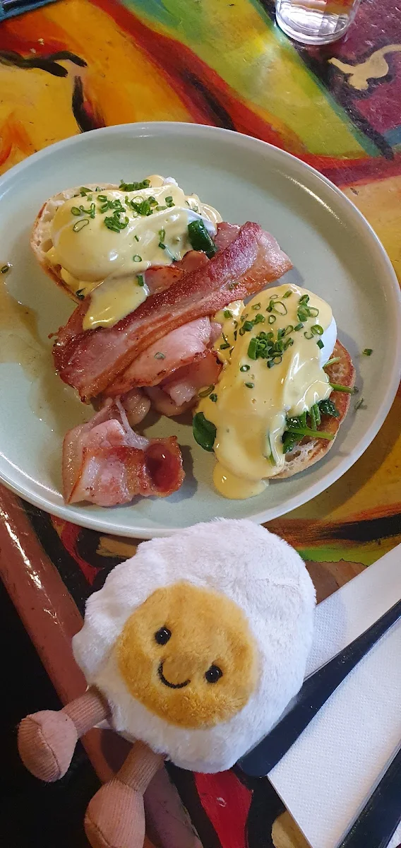 Egg Benedict, redd catt