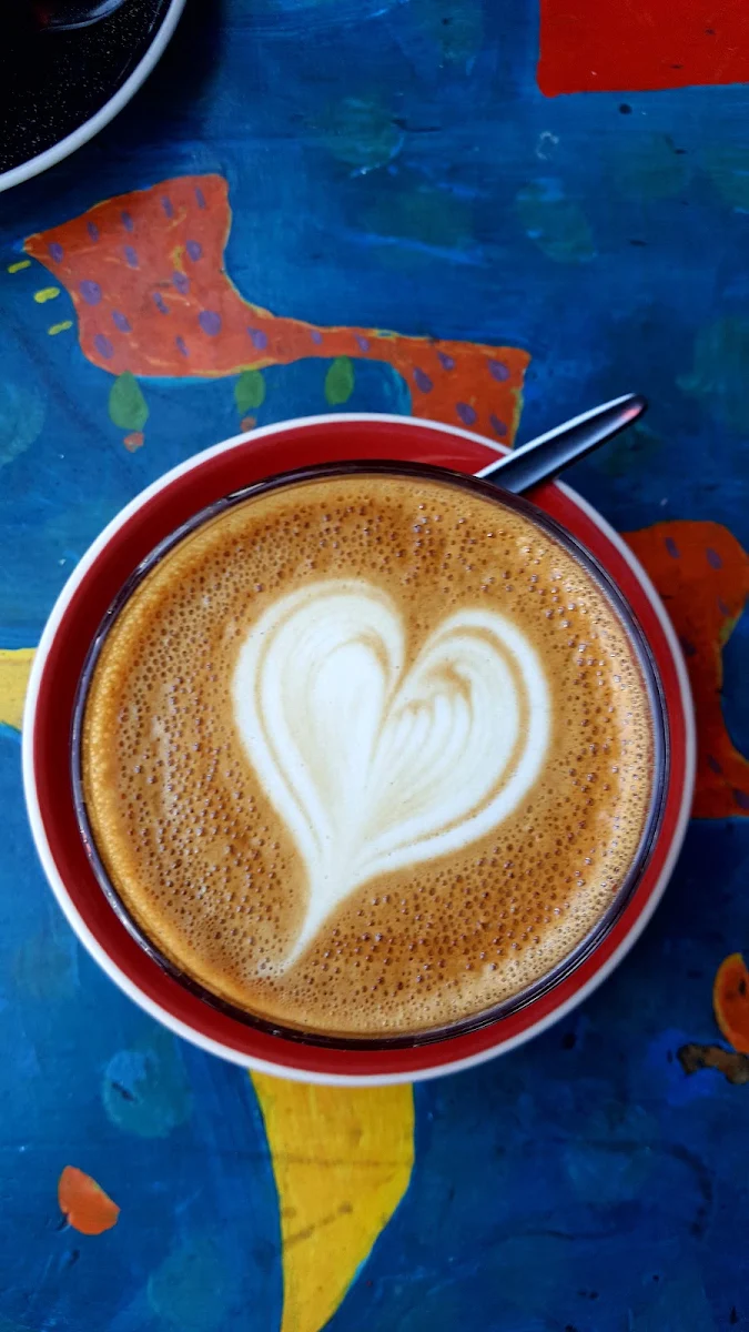 Latté, redd catt