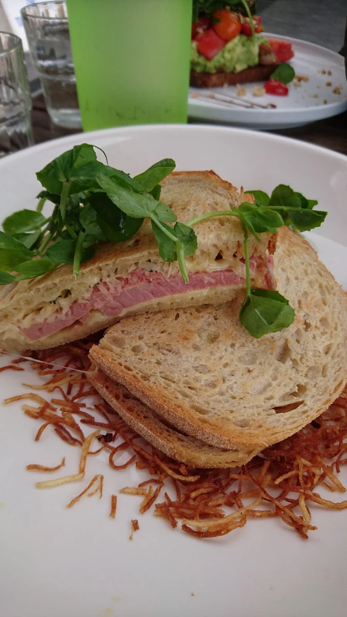 Reuben Sandwich, redd catt