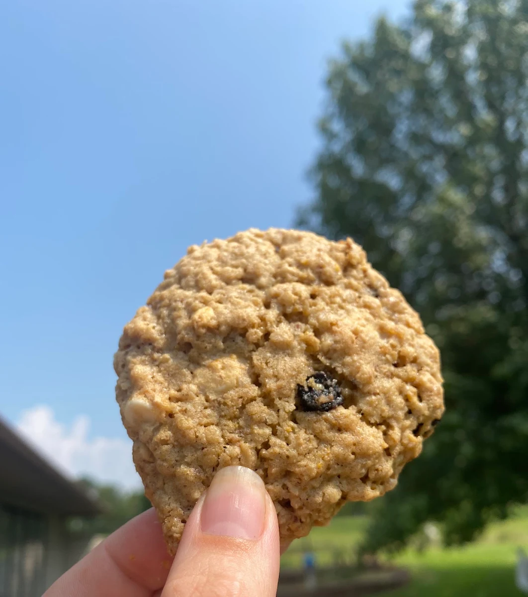 Oatmeal Raisin Cookies