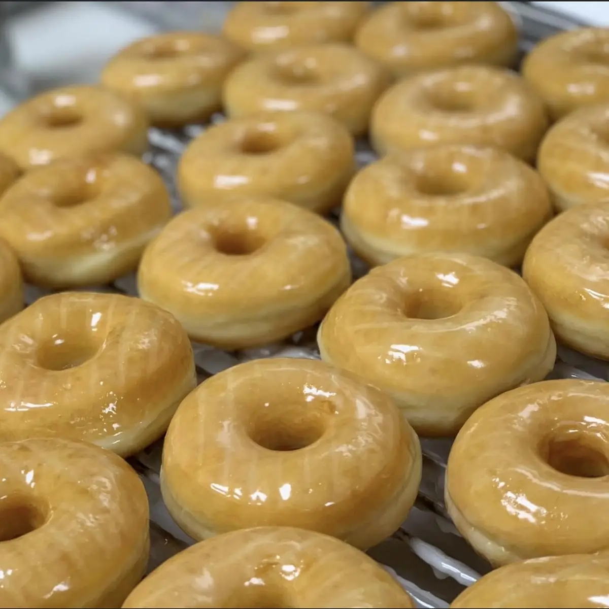 Glazed Donut