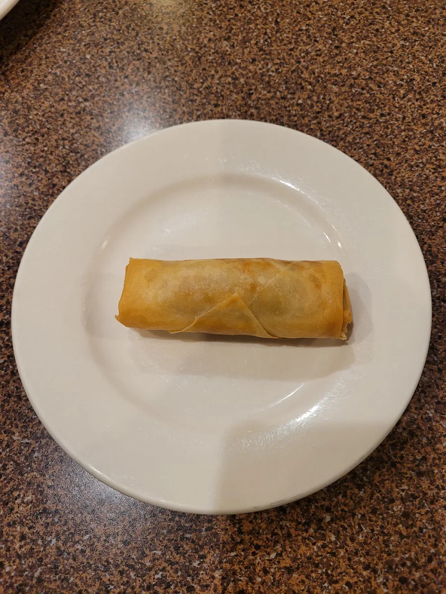 Special Veggy Roll