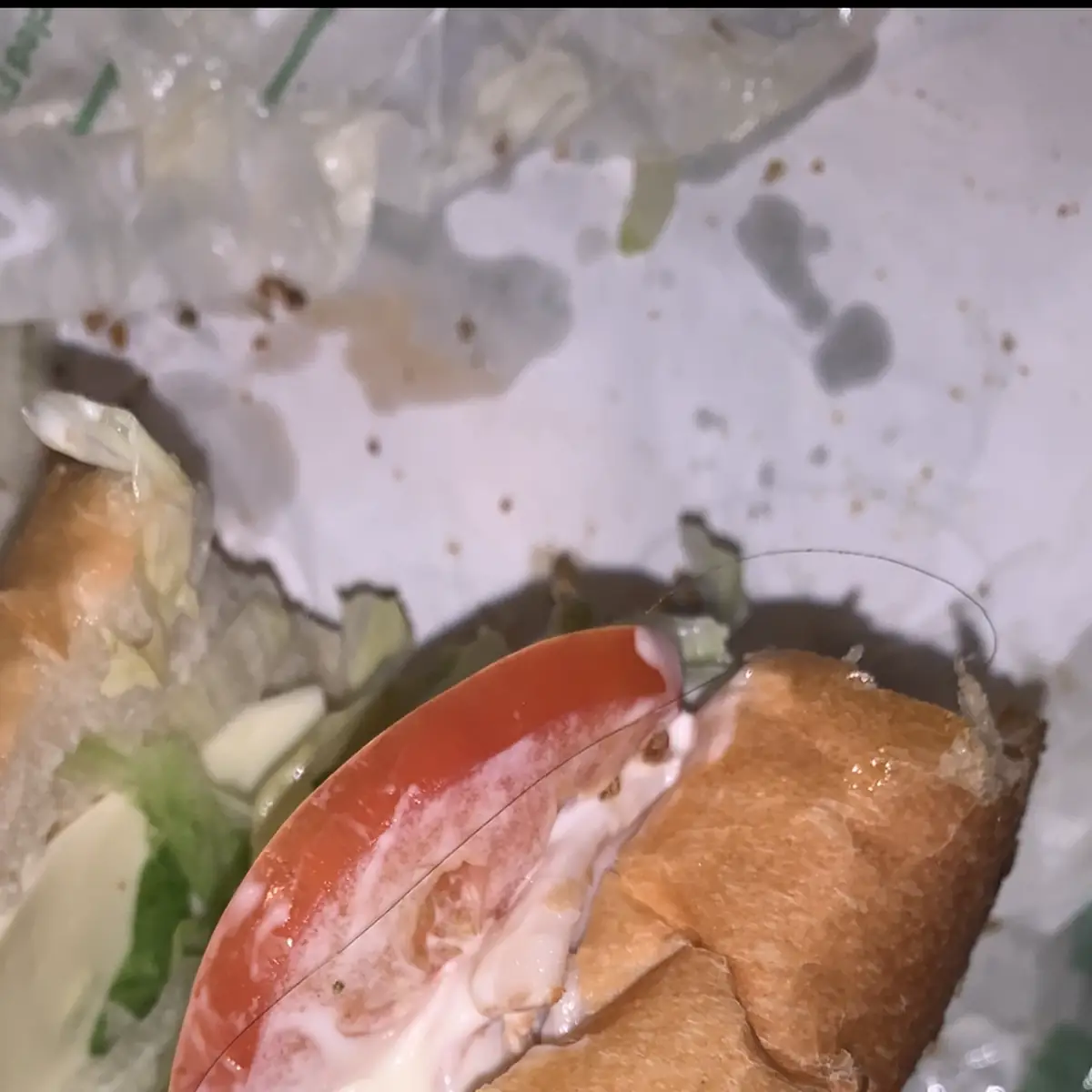 Veggie Delite