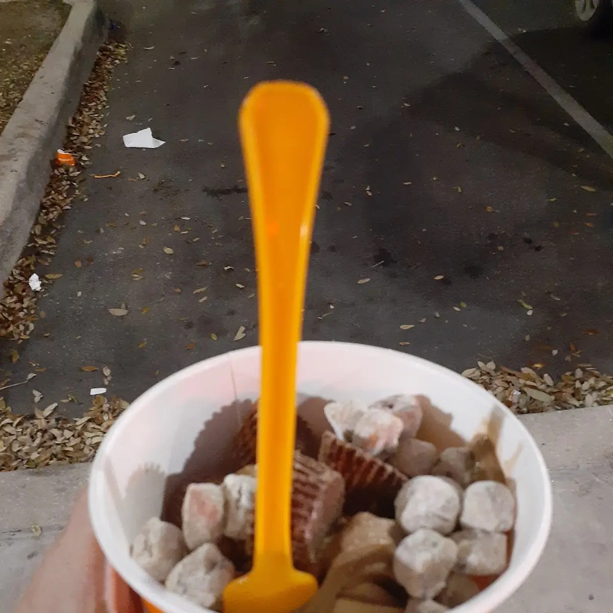 Frozen Yogurt Large Cup