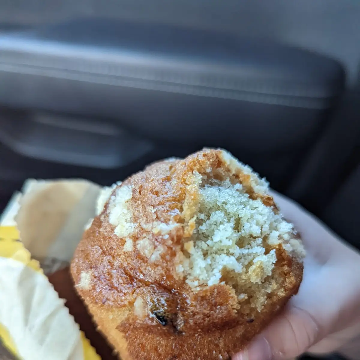 Blueberry Muffin