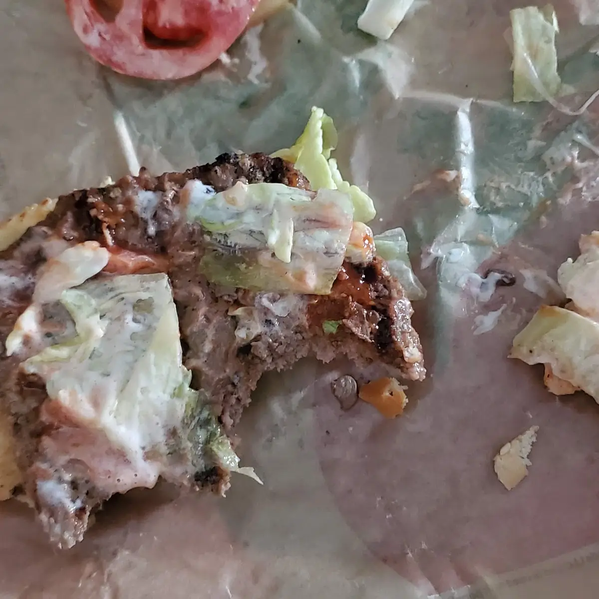 Horrible Excuse for a Burger