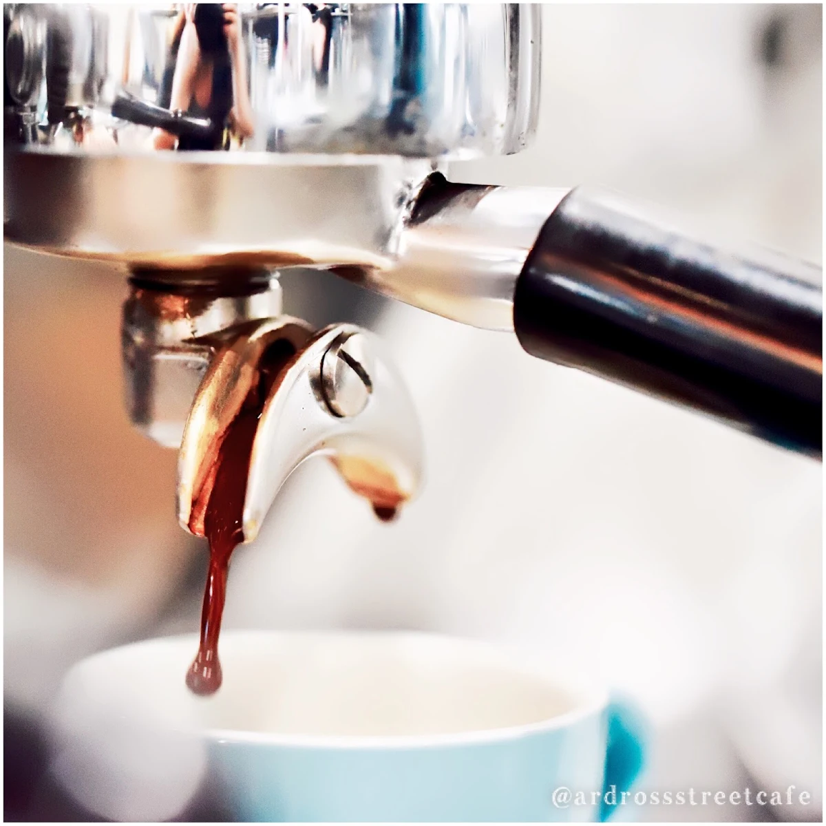 Highlights, Ardross Street Cafe