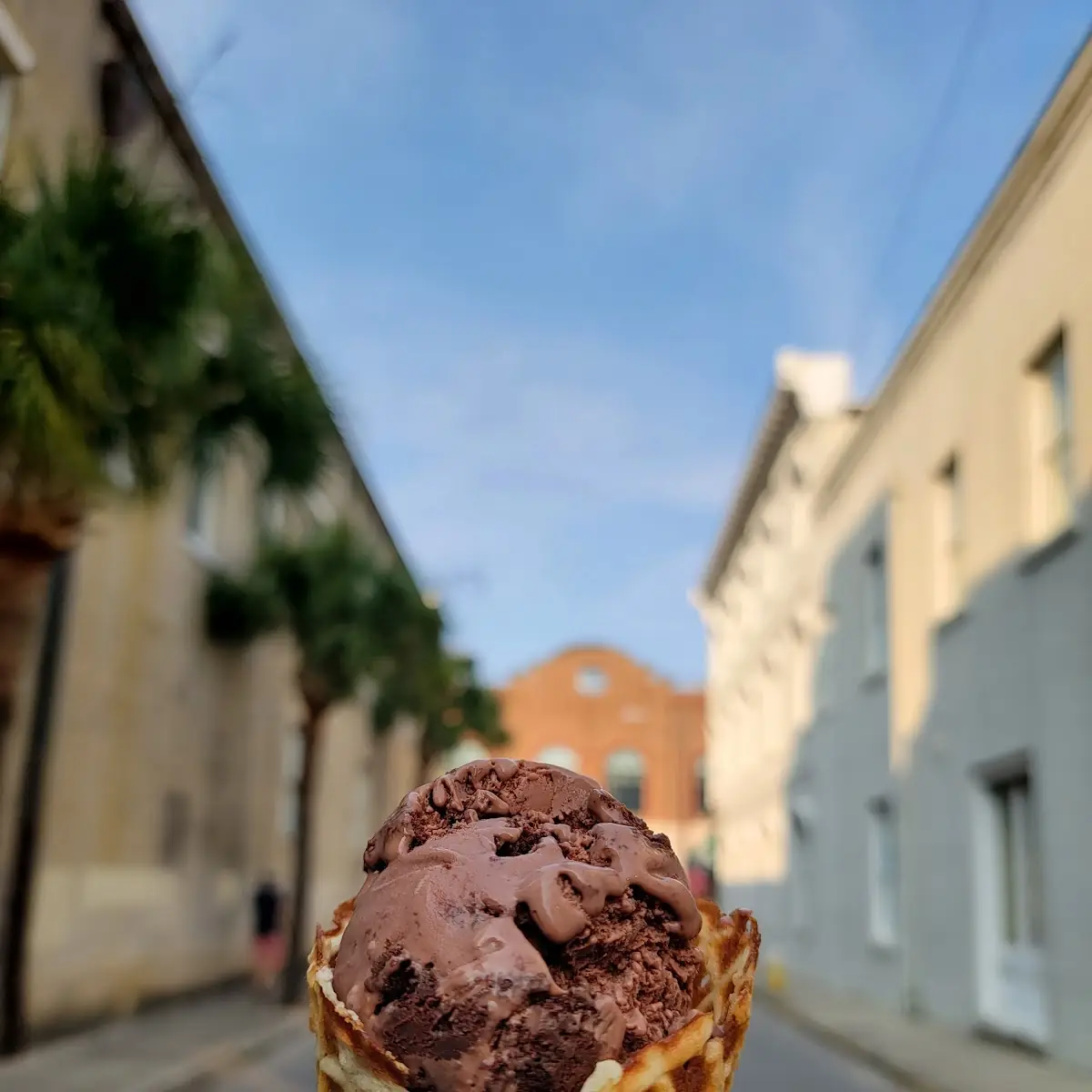 Chocolate Fudge Brownie