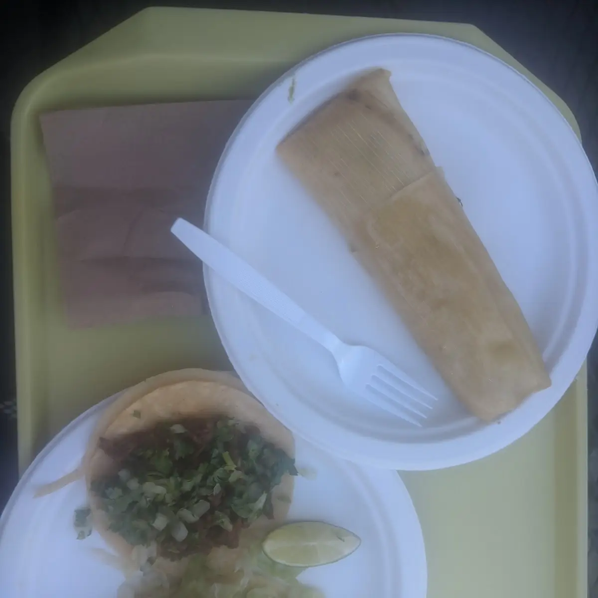 Asada Taco Fish Taco