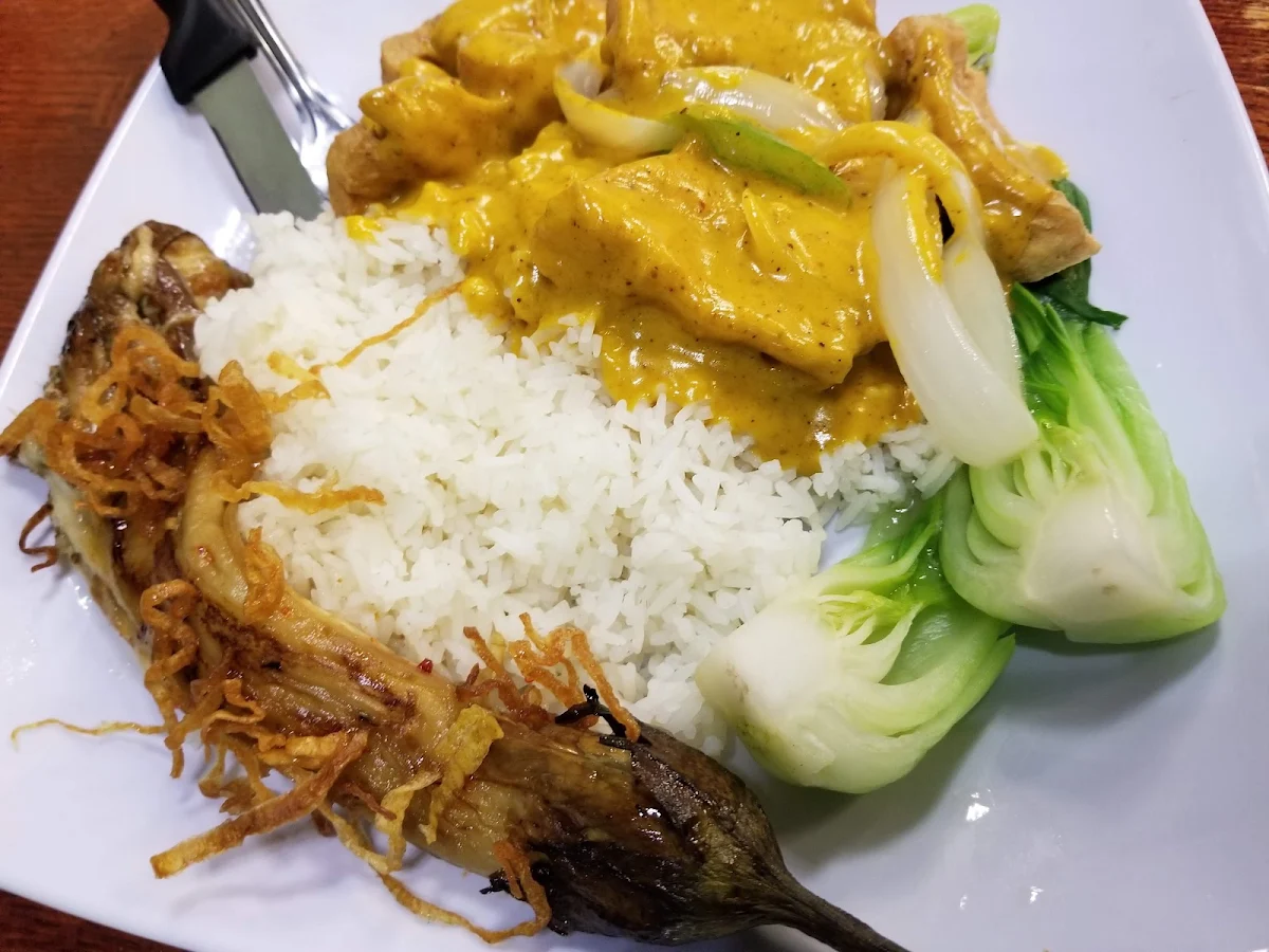 Curry Chicken and Grilled Beef on Rice