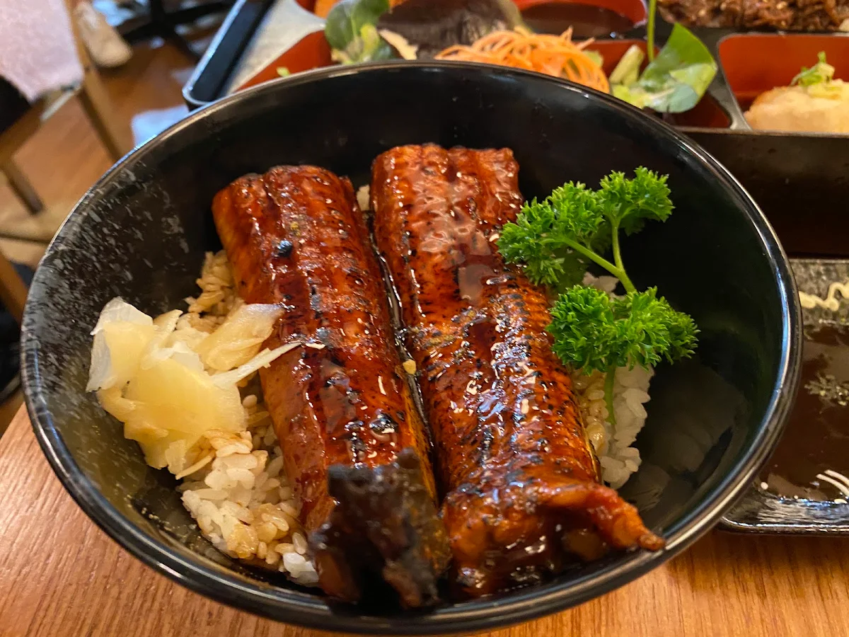 Eel Unagi