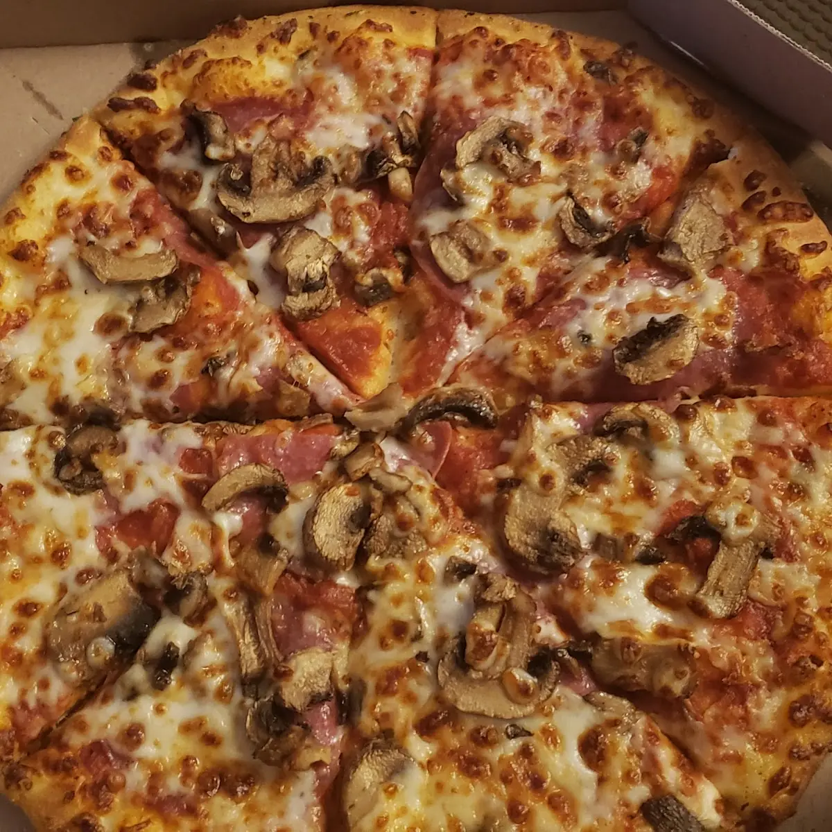 Pepperoni and Mushroom Pizza
