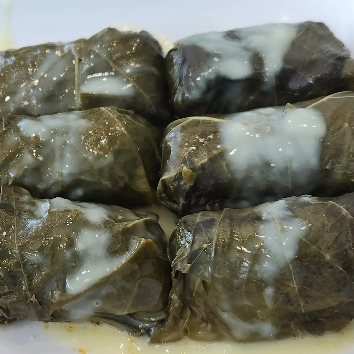 Grape Leaves