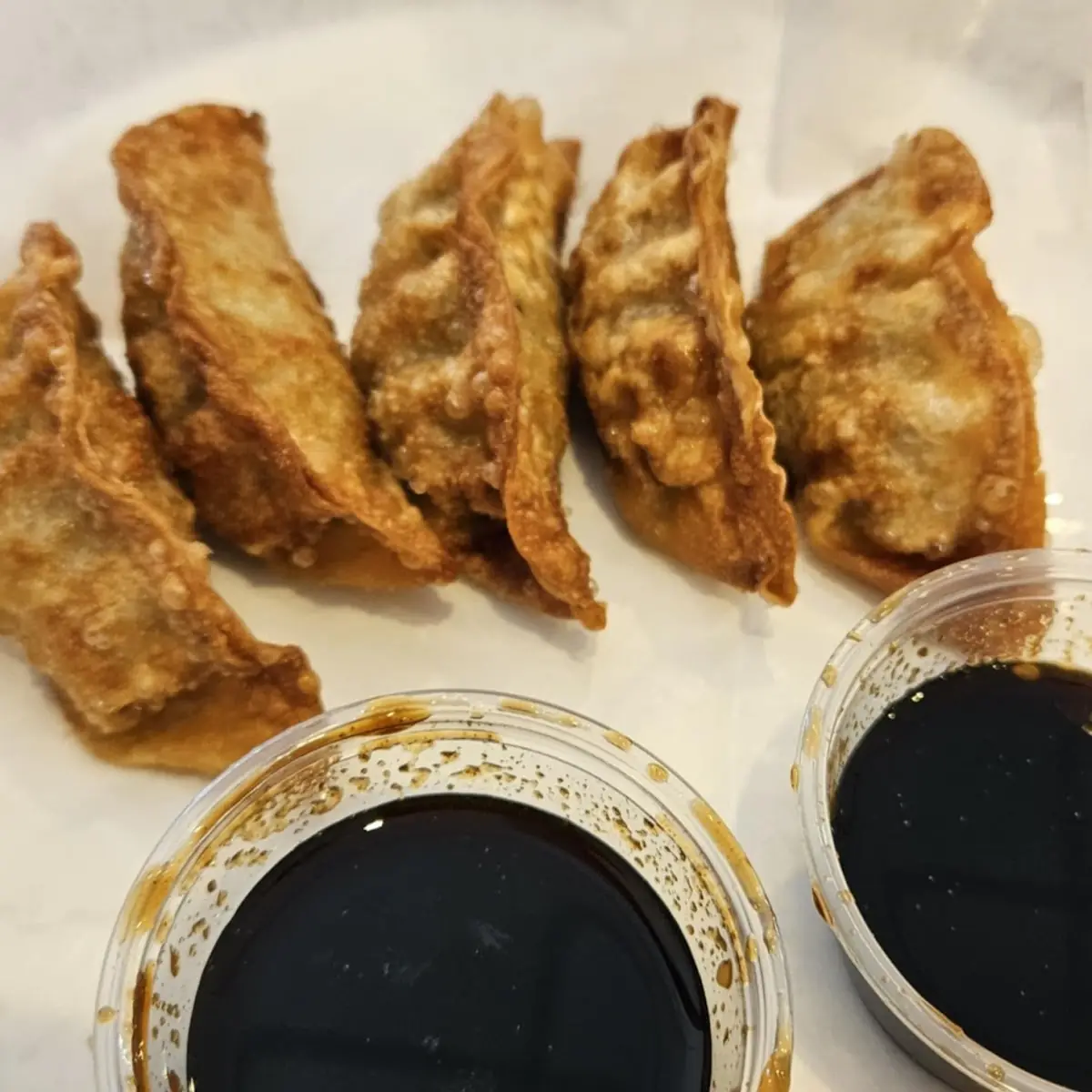 Pork Dumplings