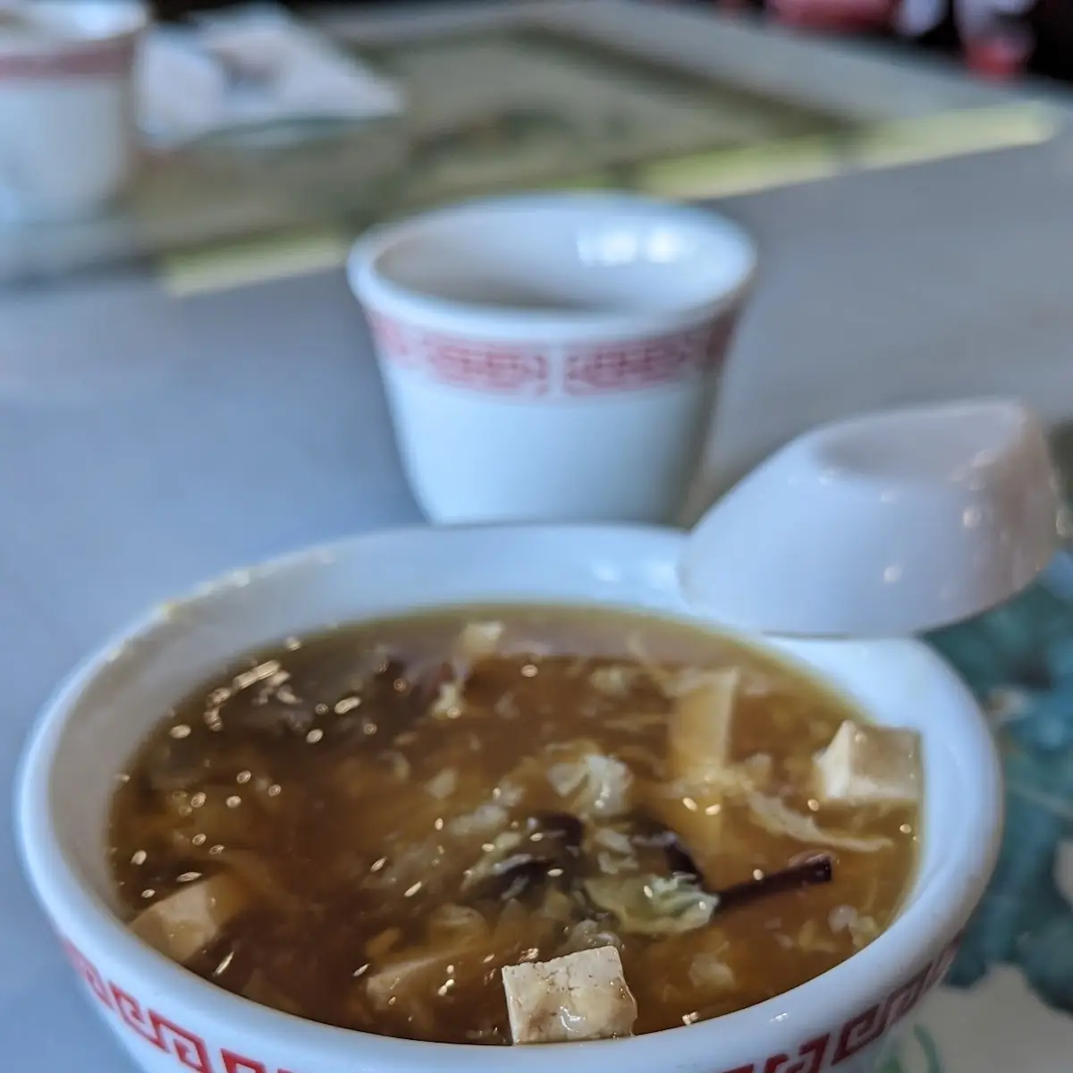 Hot and Sour Soup