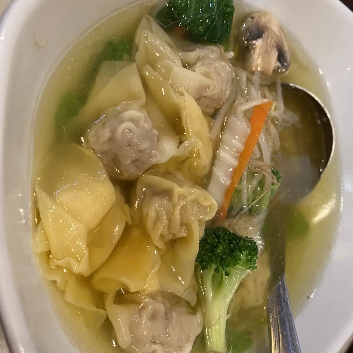 Wonton and Vegetable Soup