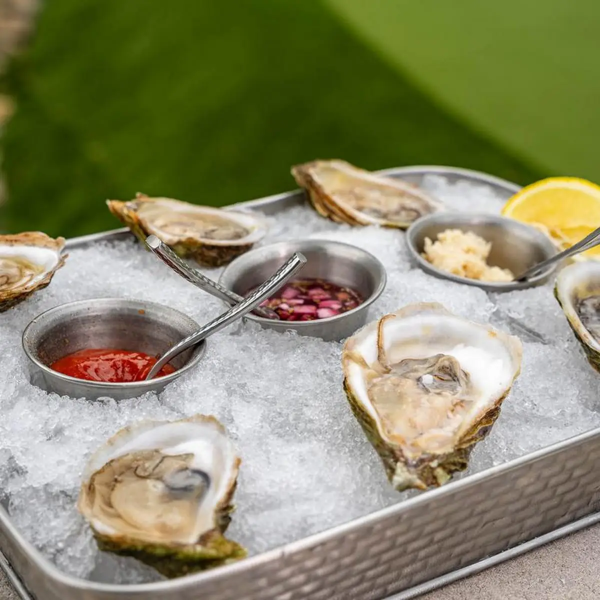 Raw Oysters