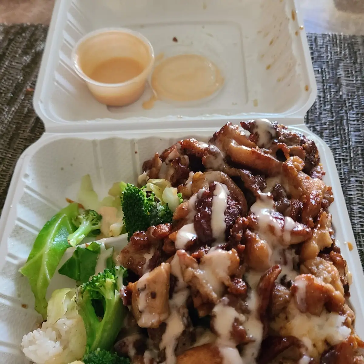 Chicken and Beef Teriyaki