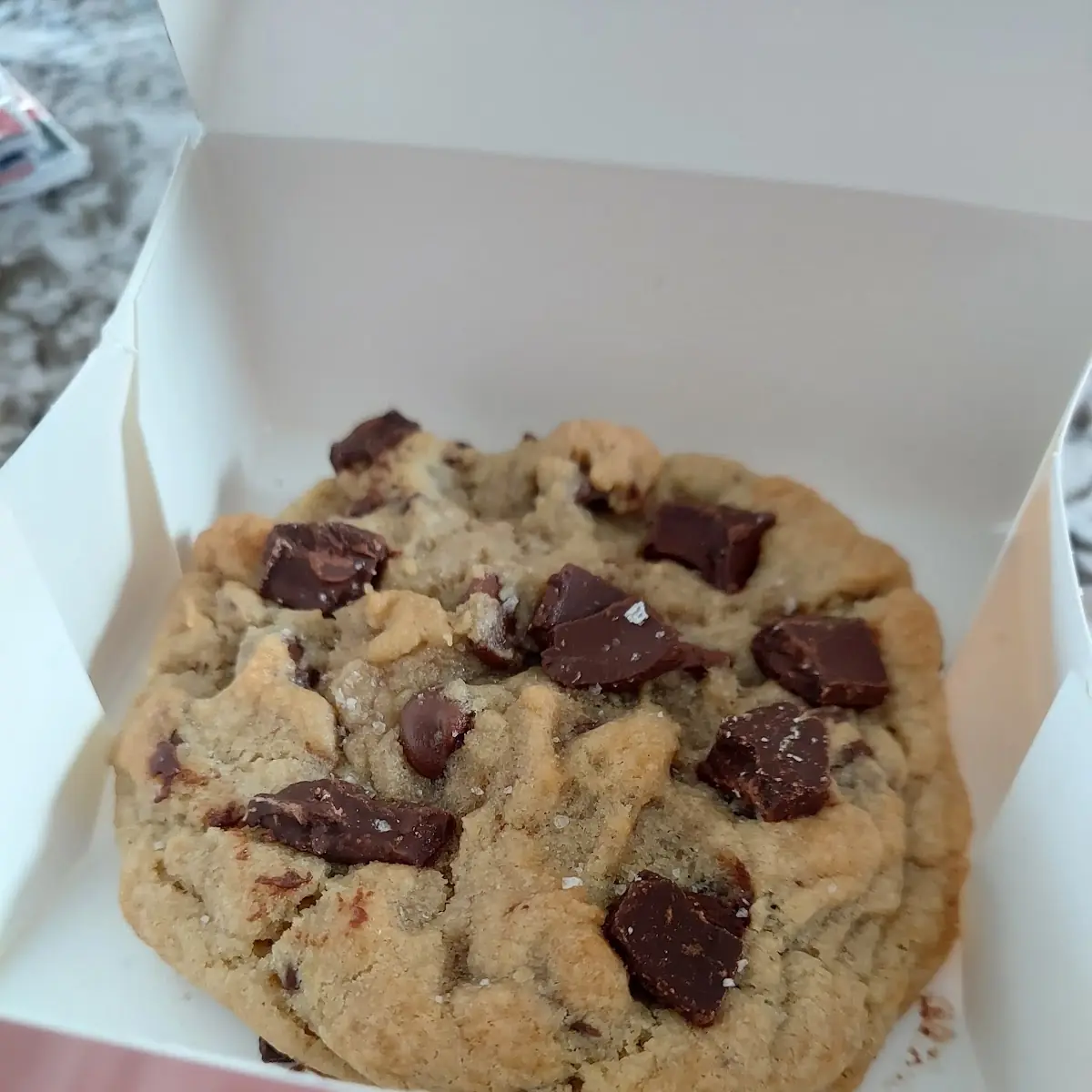 Semisweet Chocolate Chip Cookie