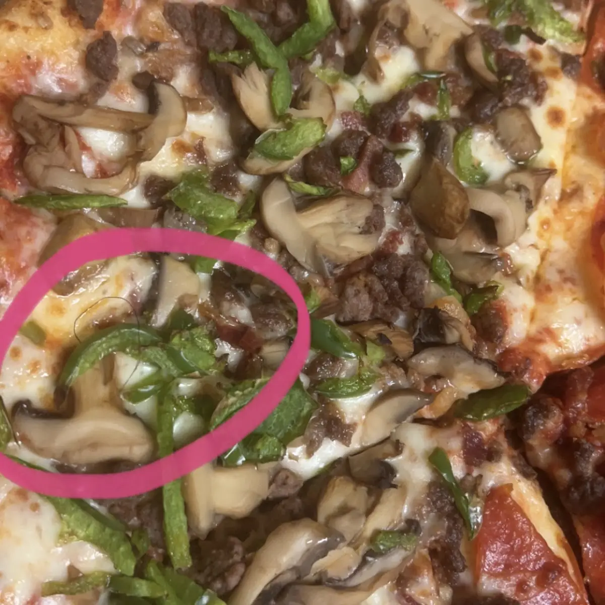 Deluxe Pizza