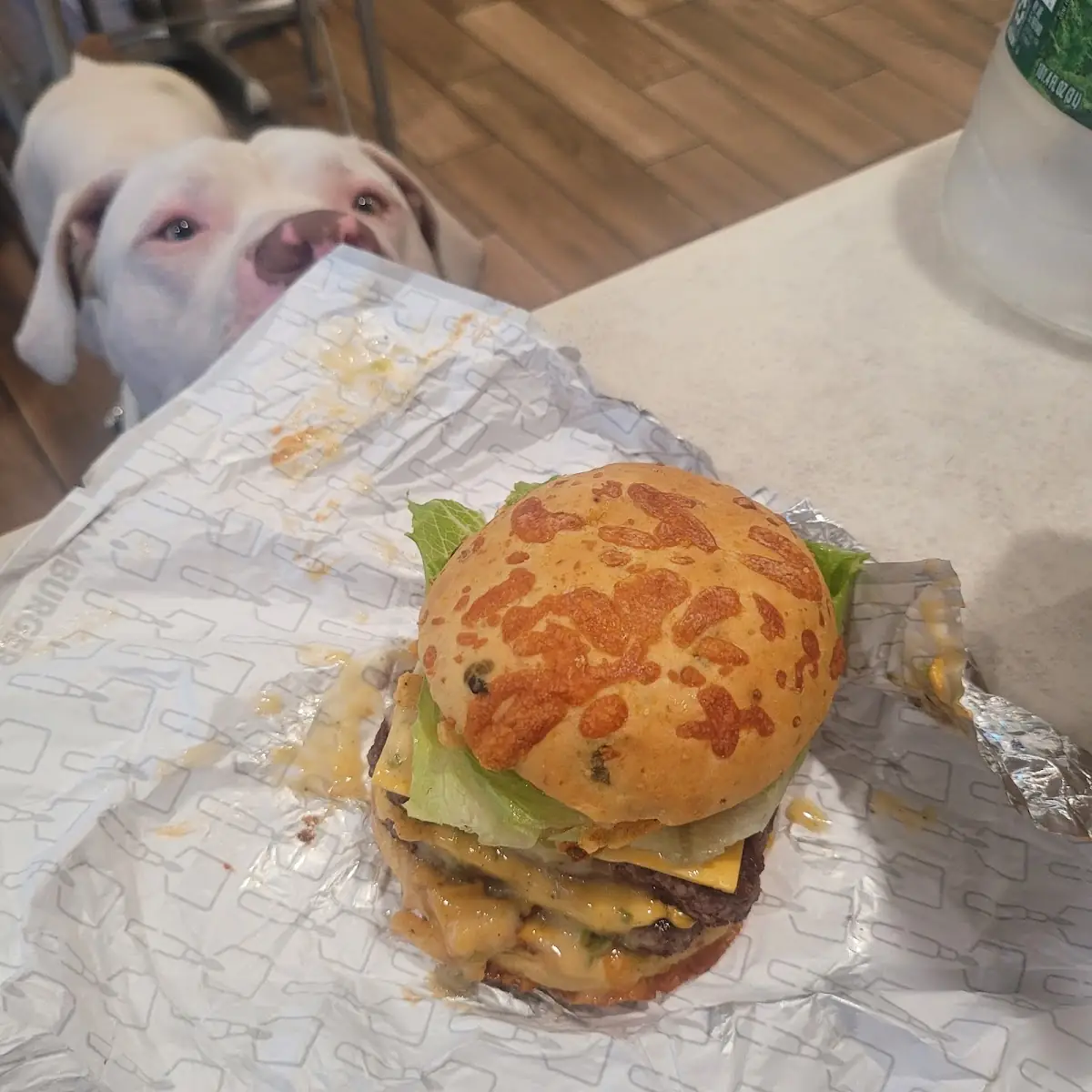 Loaded Nacho Cheese Burger