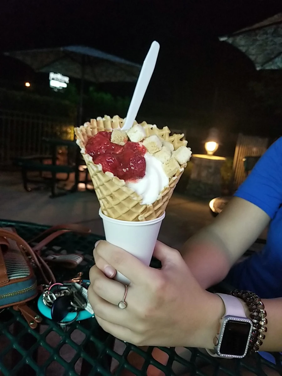 Gourmet Waffle Cone