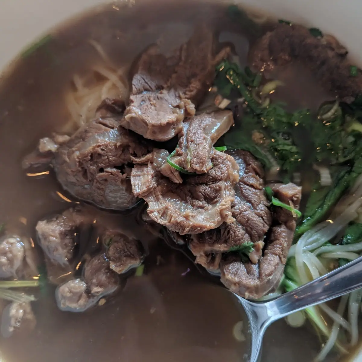 Stewed Beef Noodle Soup