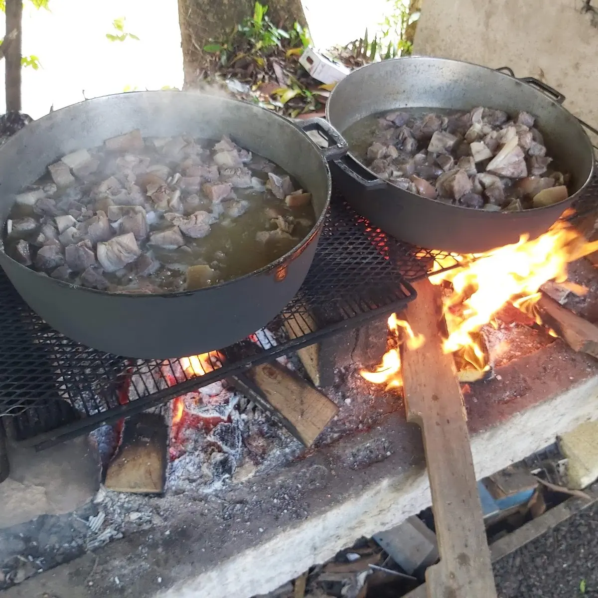 Carne Frita