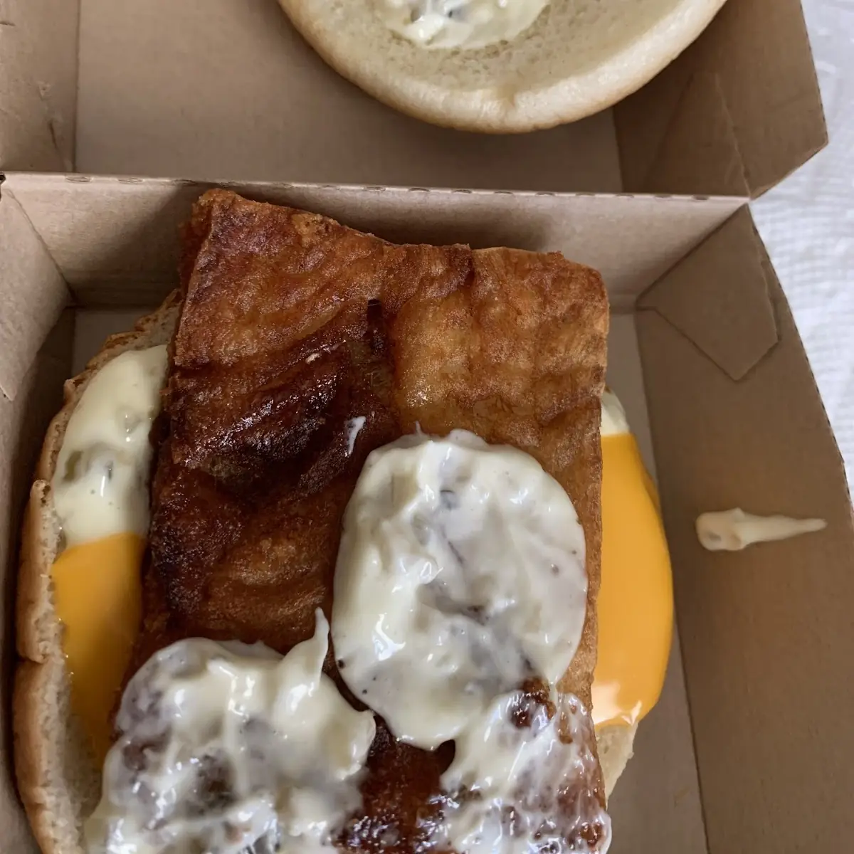 Fish Filet