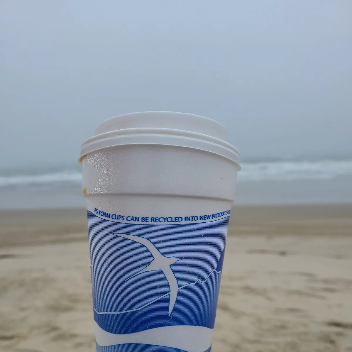 Cold Brew Coffee