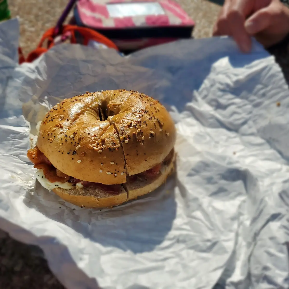 Everything Bagel Sandwich