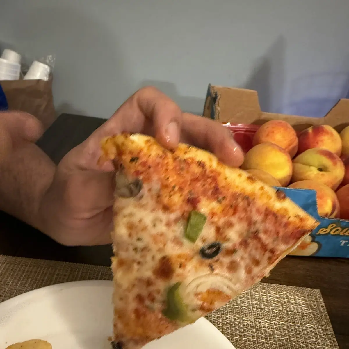 Regular Pizza Slice