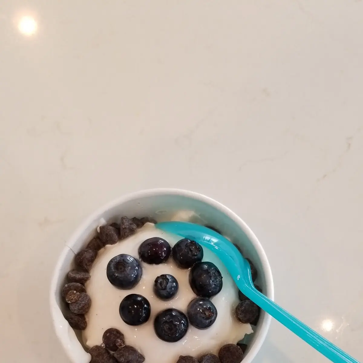 Charcoal Vanilla Ice Cream