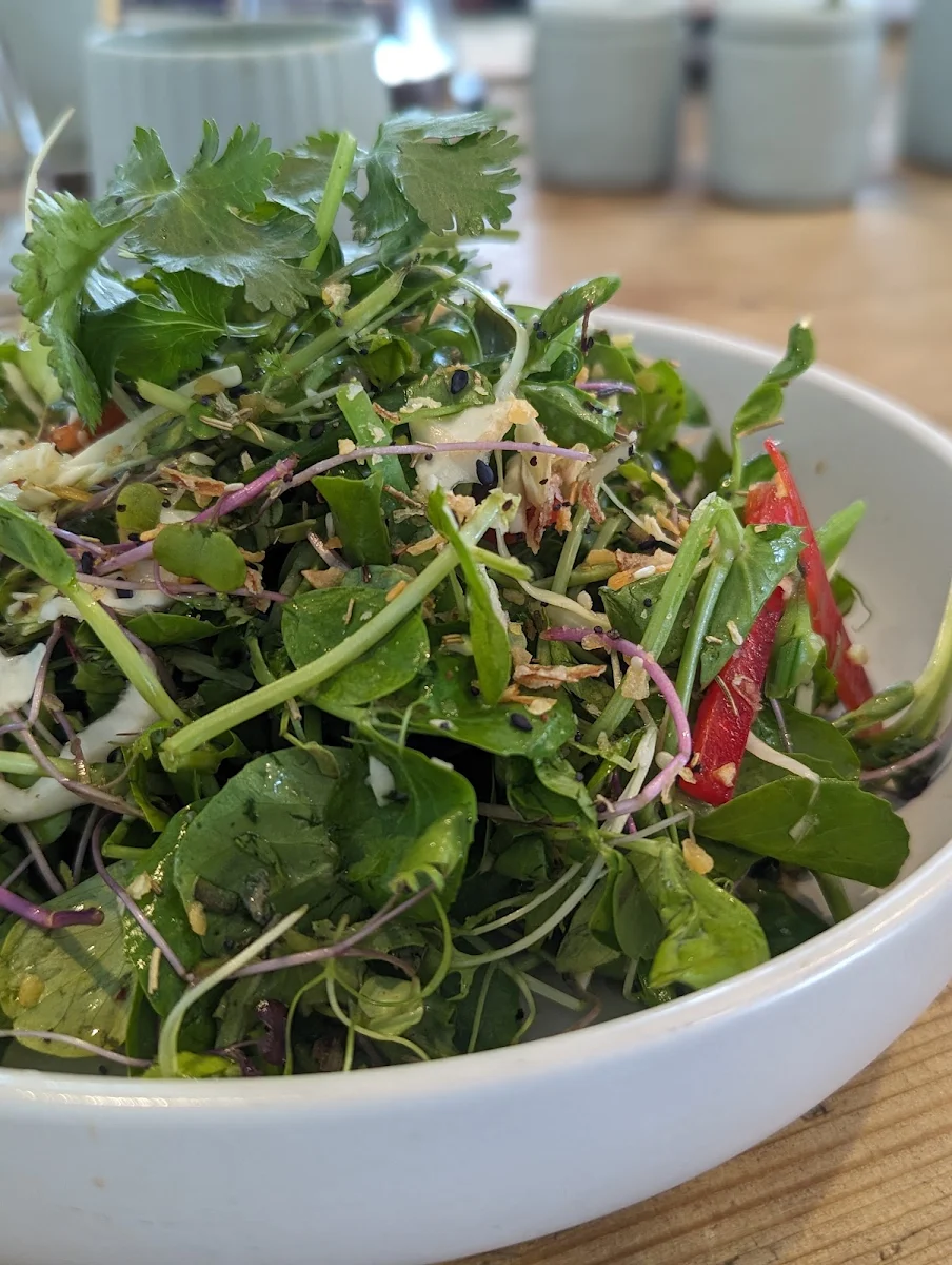Asian Herb Salad, Tarte Beach House