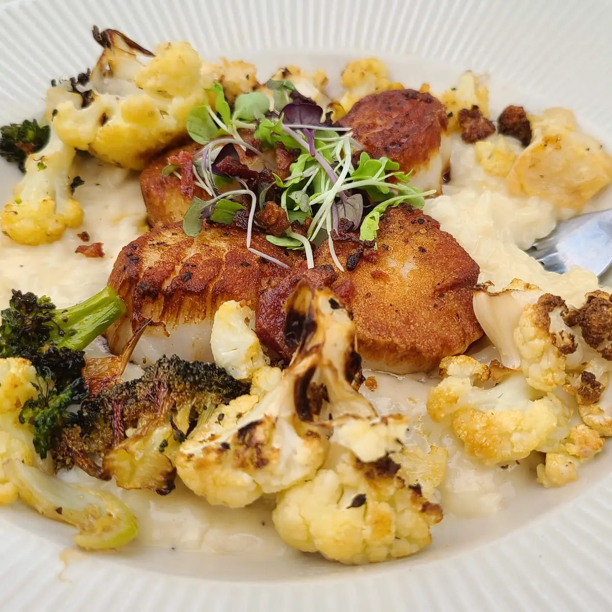 Seared Sea Scallops