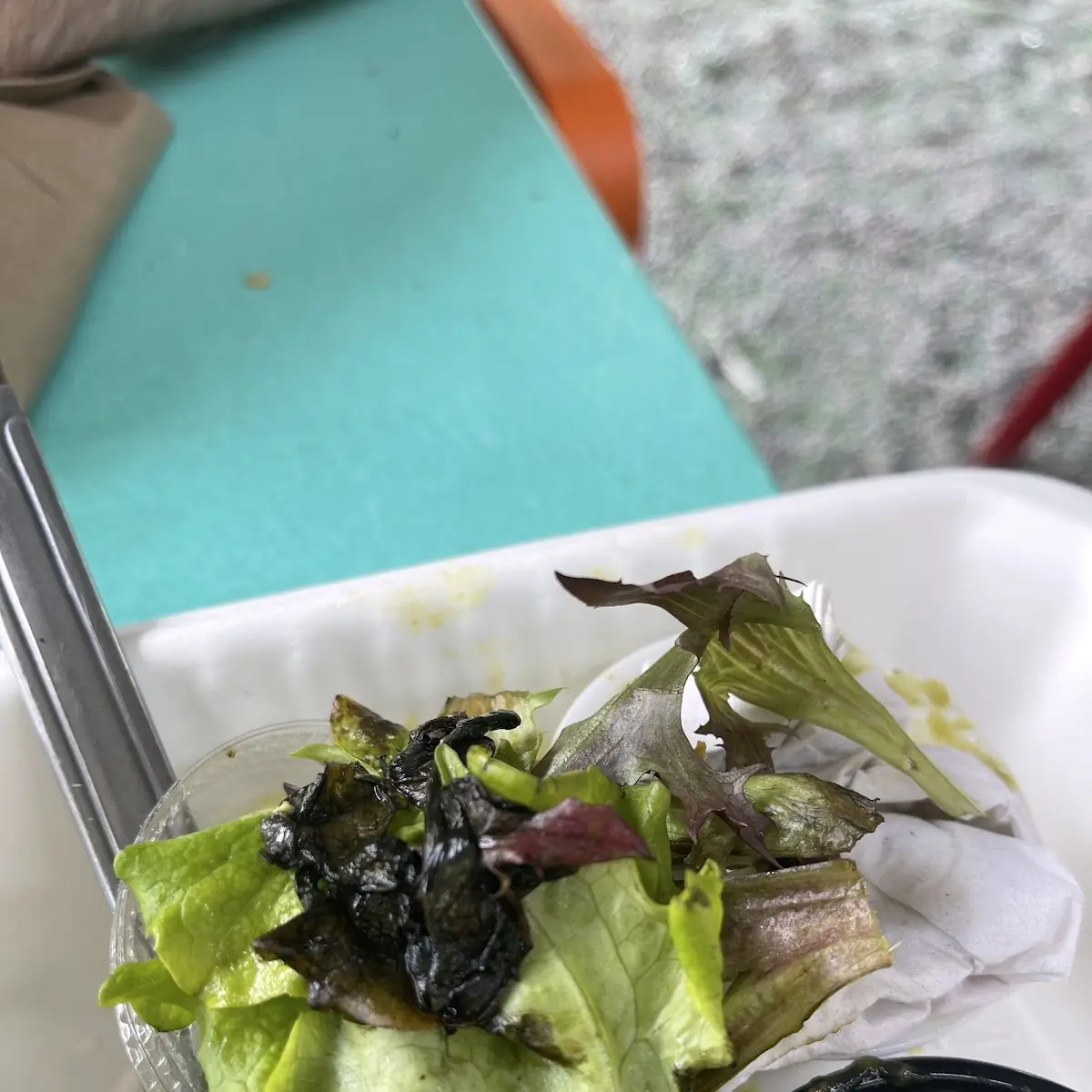 Thai Chicken Salad