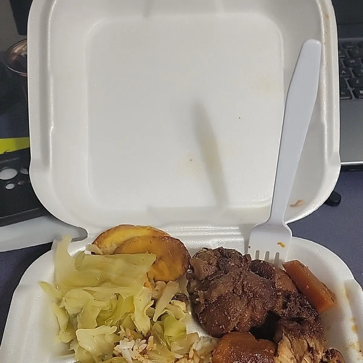 Brown Stew Chicken w White Rice