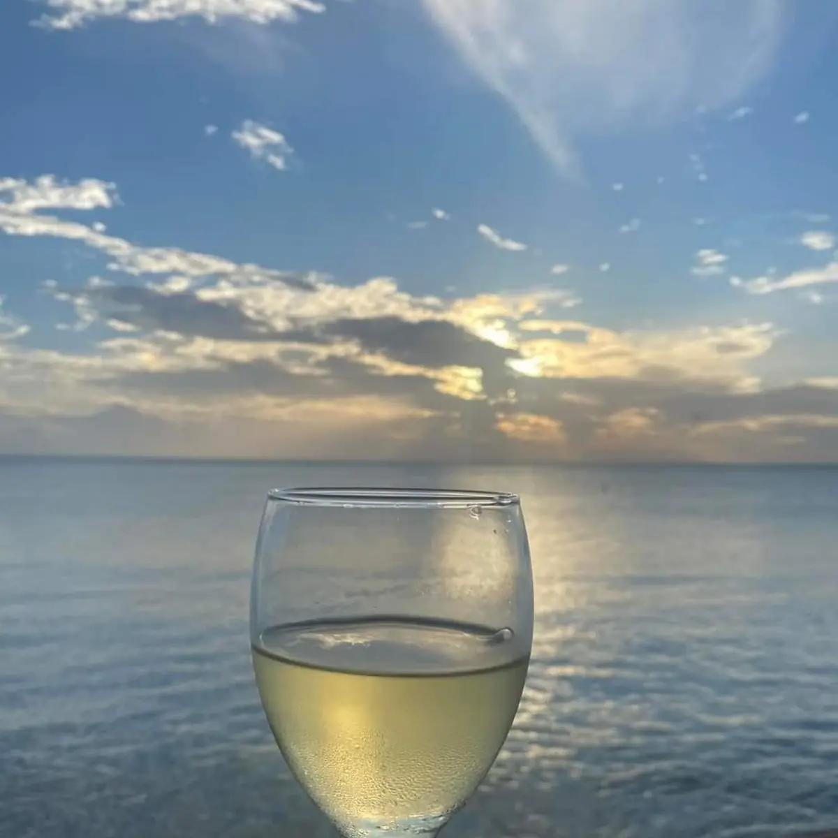 Vino Blanco