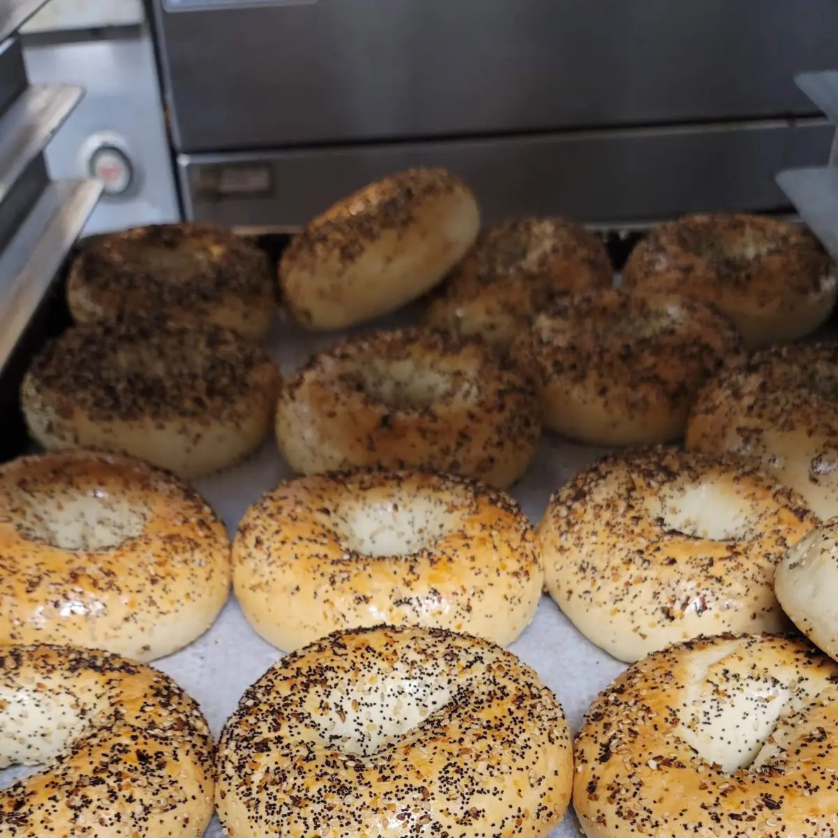 Everything Bagel