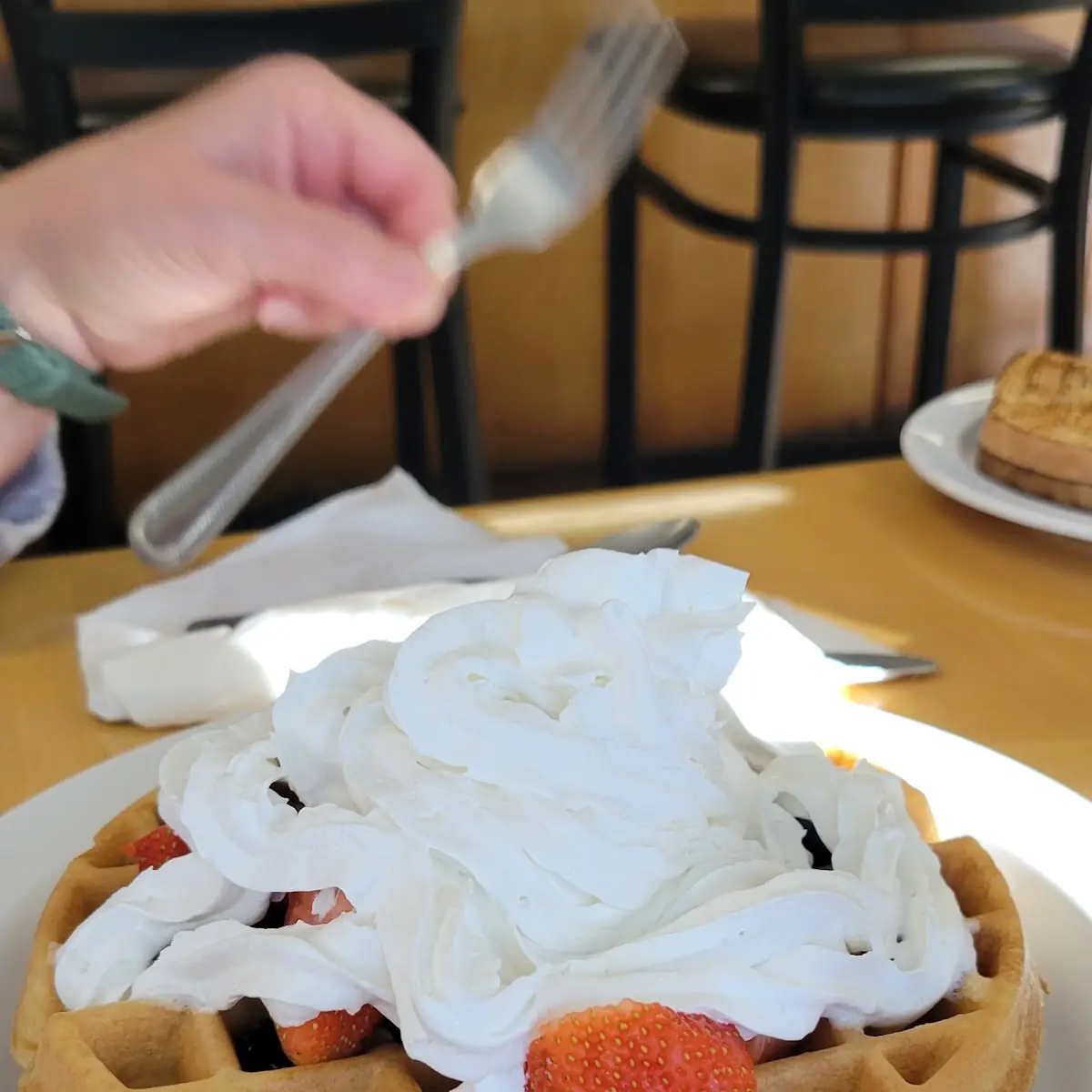 Belgian Waffle