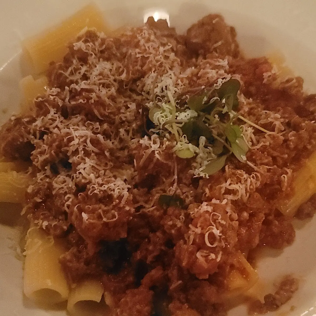Rigatoni Bolognese