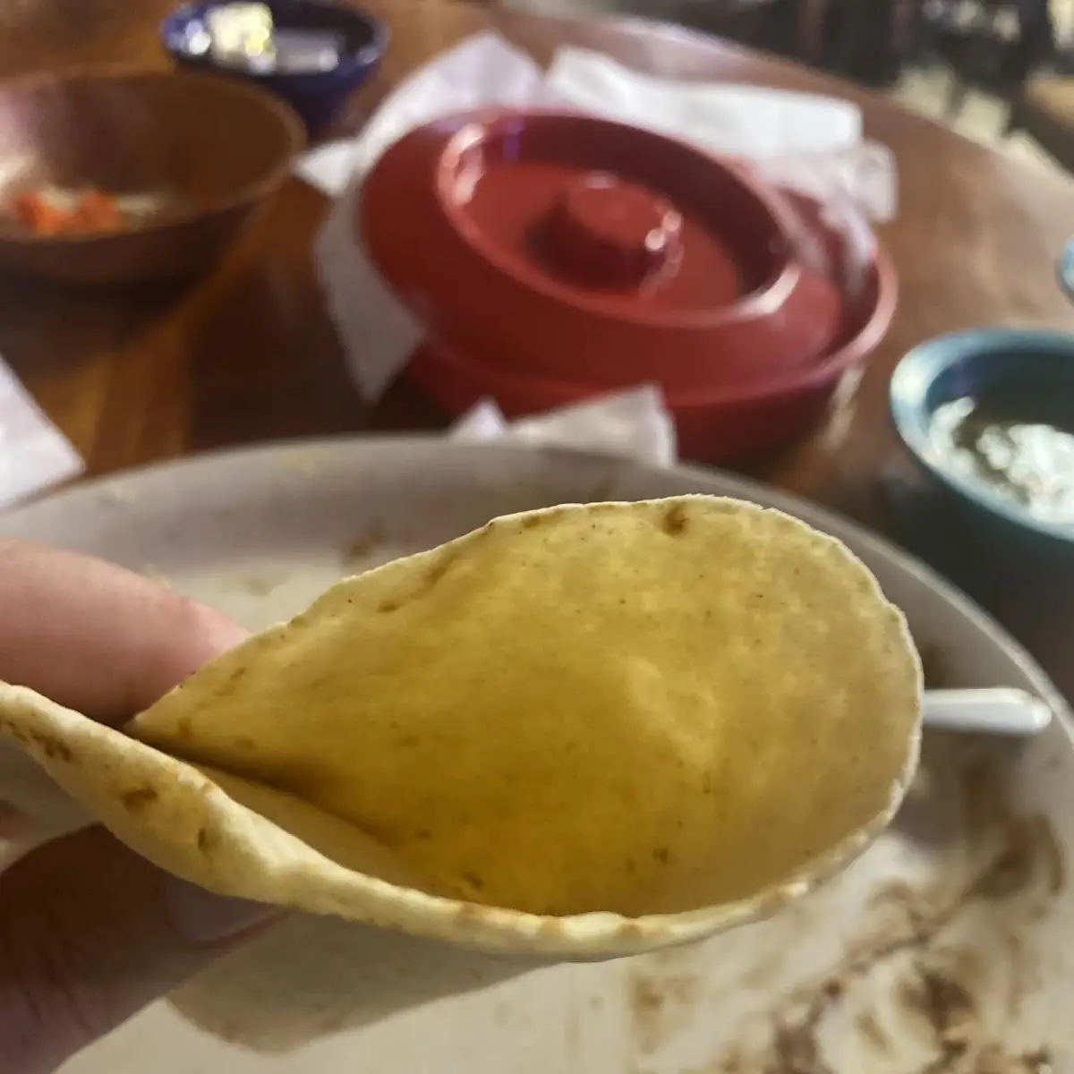 Corn Tortillas
