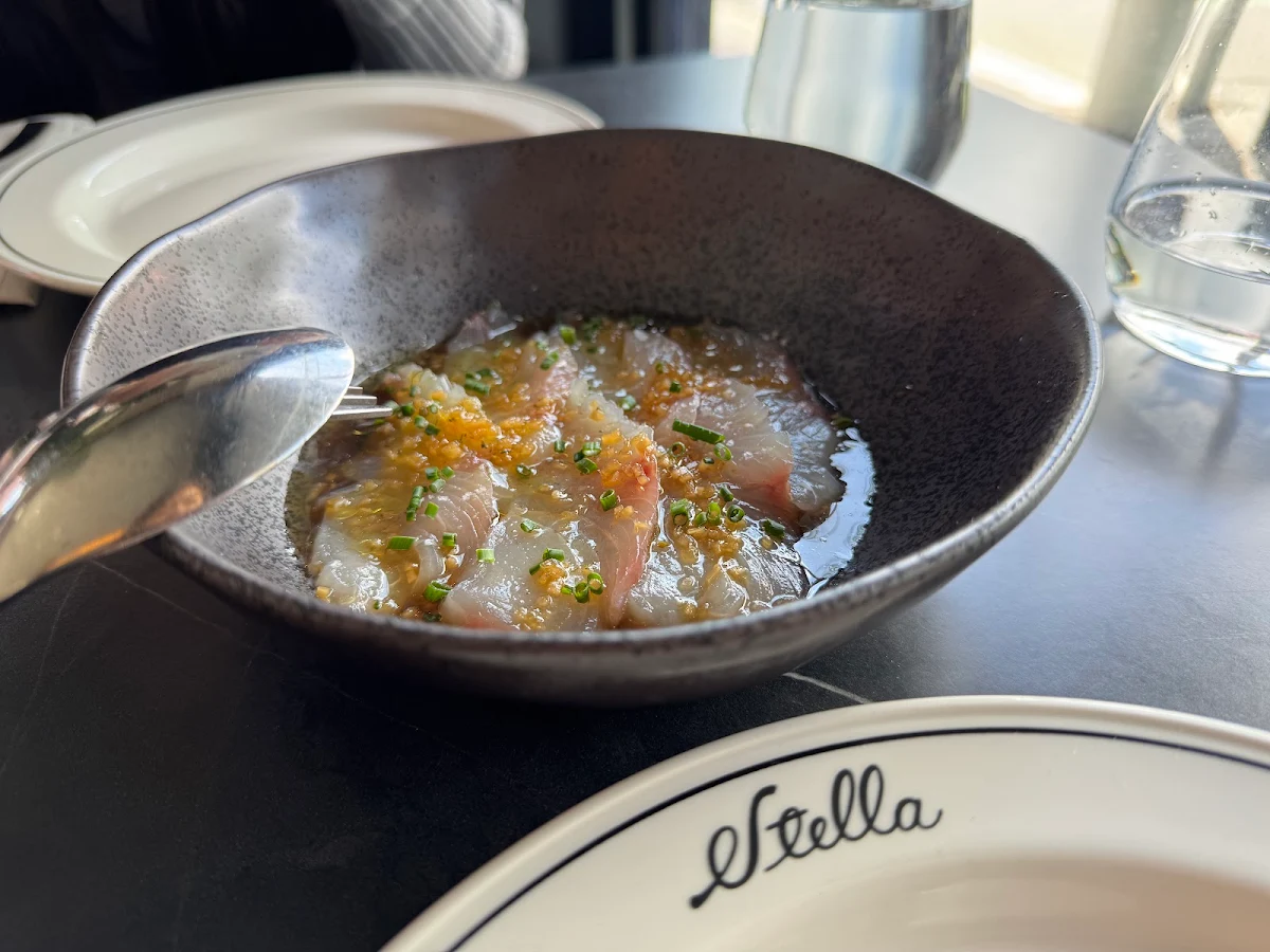Salmon & Scalop Crudo, Stella Restaurant and Bar