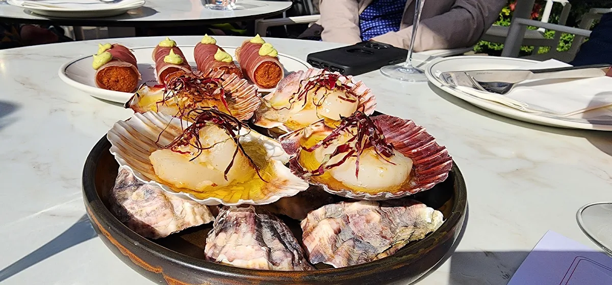 Scallops, Stella Restaurant and Bar