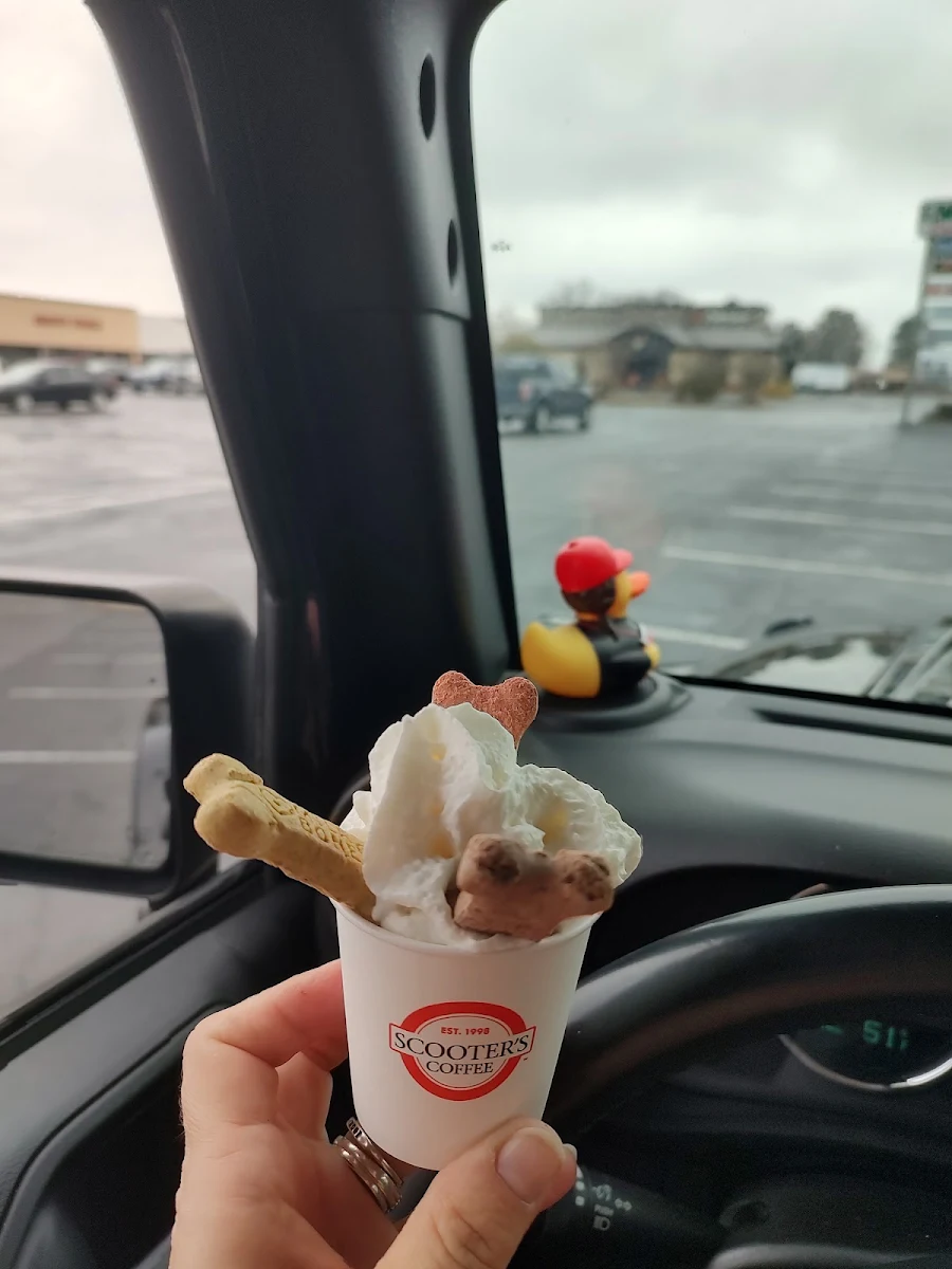 Gelato