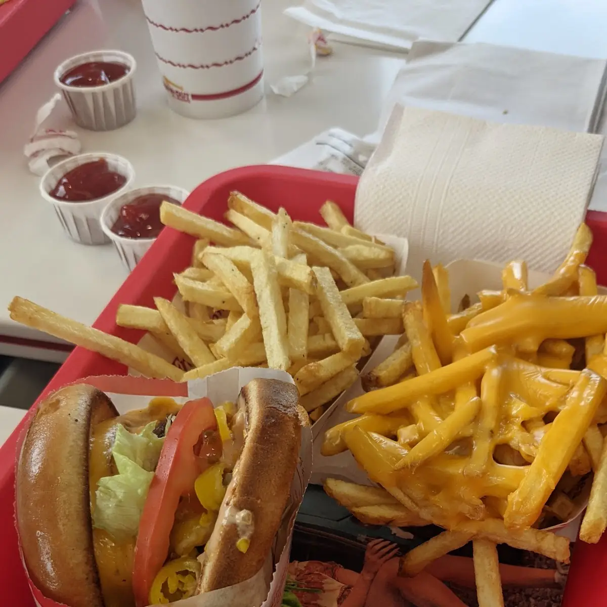 Double Double Cheeseburger with Cheese Fries