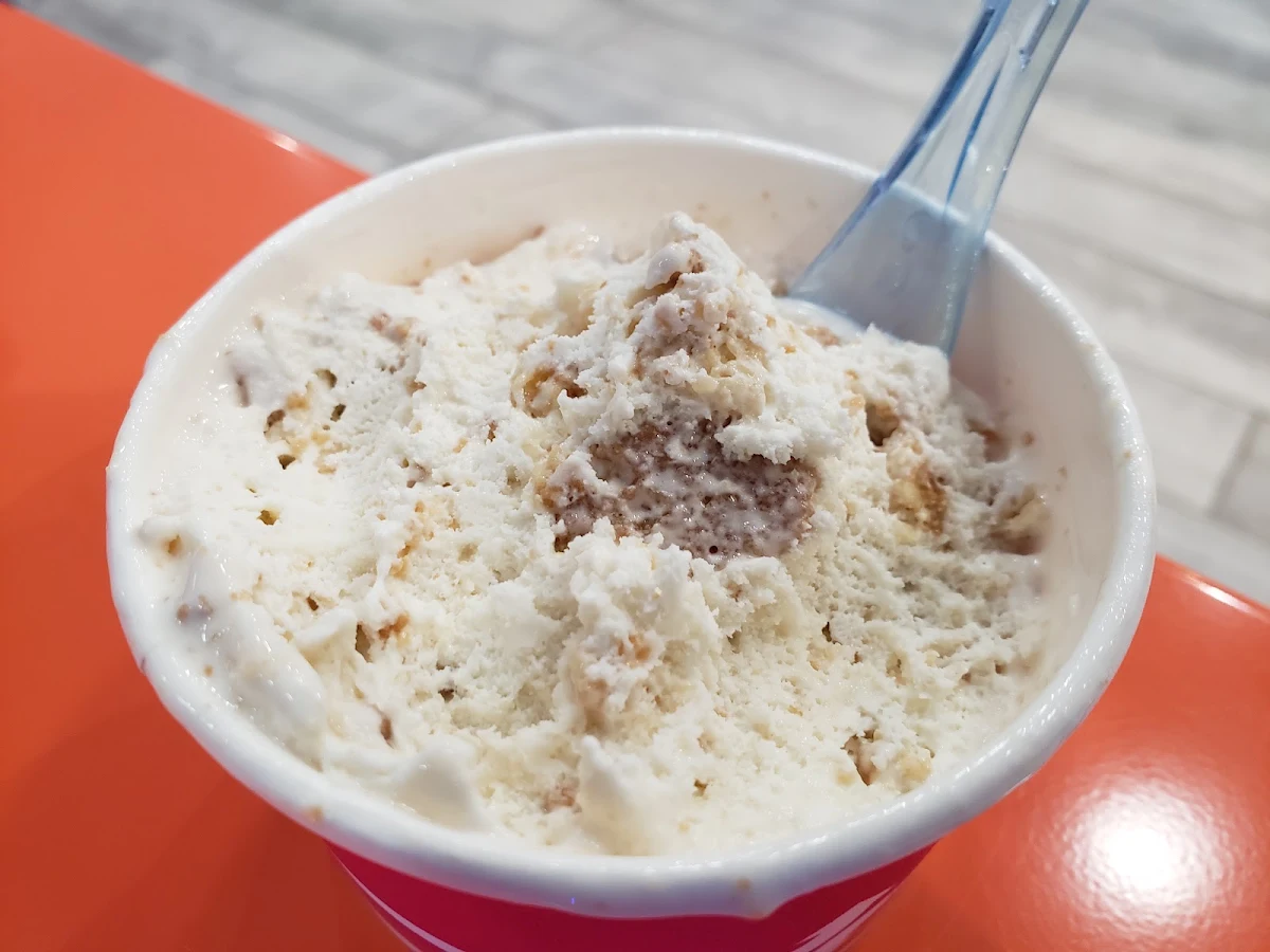 Toasted Coconut Ice Cream