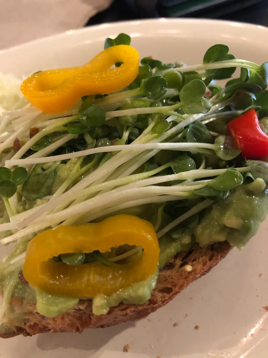Avocado Toast